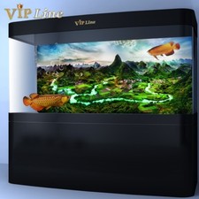 Poster sfondo acquario