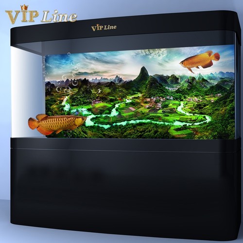 Aquarium background poster - aquarium,