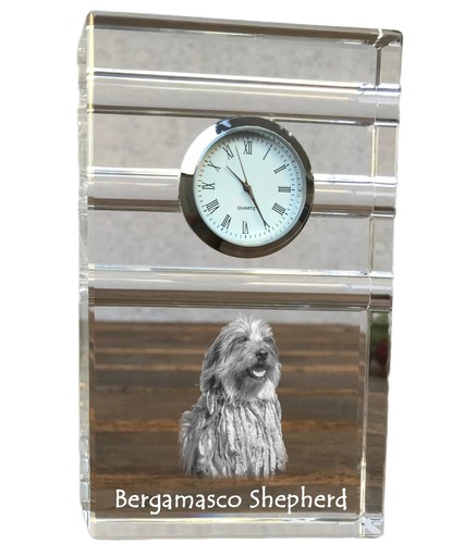 Cane pastore bergamasco - cane,