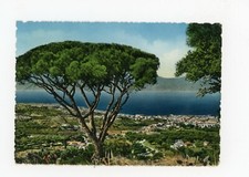 Cartolina - Reggio Calabria - Panorama - CA057