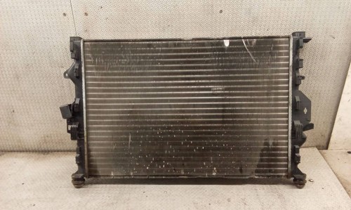 Radiatore acqua benzina ford - acqua,