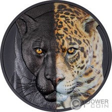 JAGUAR Day and Night Giaguaro 3 Oz Moneta Argento 20$ Palau 2023
