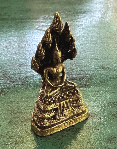 Bellissimo piccolo tibet - bellissimo,