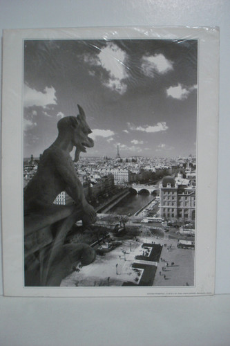 Paris gargoyle x11 - paris,