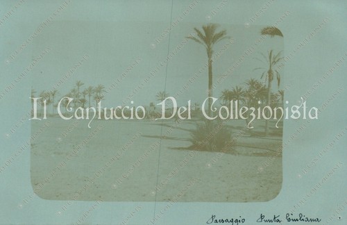 1912c libia bengasi paesaggio - 1912c,