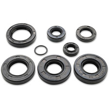 Paraolio Guarnizione per Moto