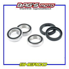 KIT CUSCINETTI E PARAPOLVERE