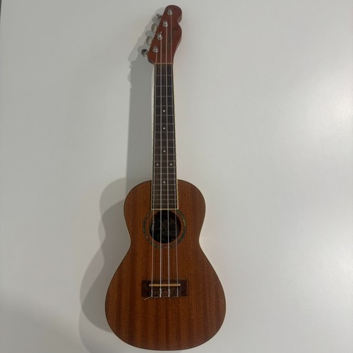 Fender mino aka concert - mino,