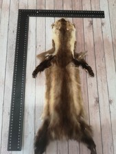 Vere pelli di martora top