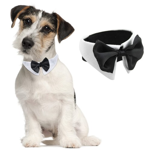 Hacraho tux papillon per - papillon,