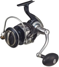 Mulinello da spinning Daiwa 21