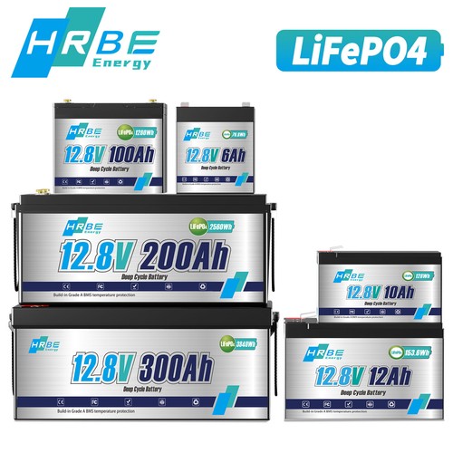 Batteria litio 12v 24v 100ah - 12v,