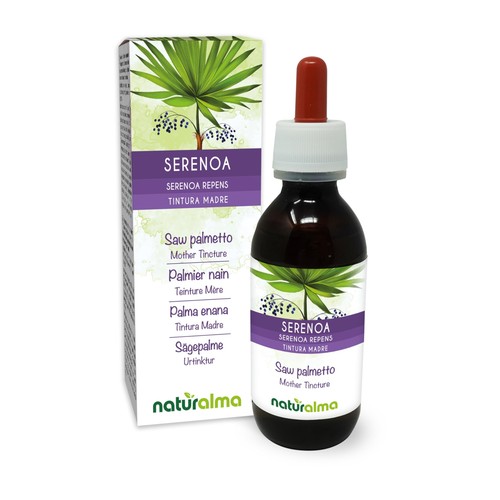 Serenoa palma nana - serenoa,