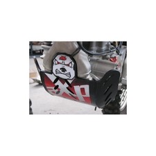 AXP PROTEZIONE PARA MOTORE