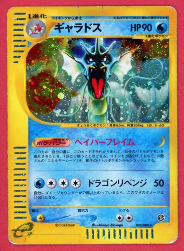 Gyarados holo pokemon - gyarados,