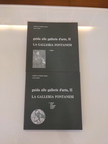 Galleria fontanesi guida - galleria,