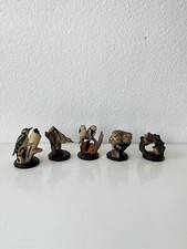 Vogelwelt collection pz - vogelwelt,