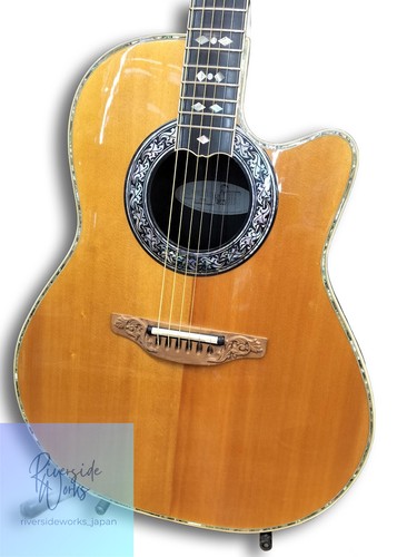Chitarra elettrica acustica