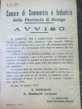 MANIFESTO STORICO 1917 ROVIGO COMBUSTIBILI LEGNA DA ARDERE CARBONE VEGETALE 