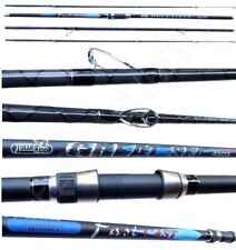 Canna da Pesca Surfcasting 3