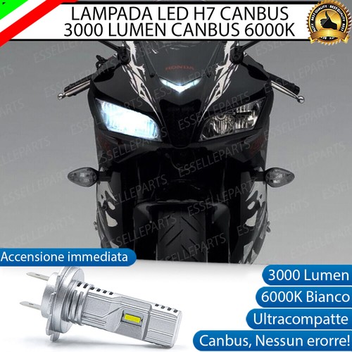 Lampada led canbus - led, h7