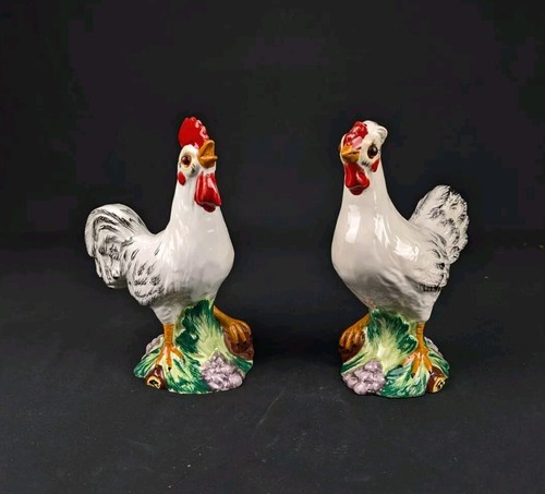 Coppia gallo gallina in - gallo,