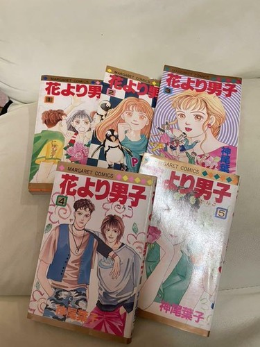 Hana yori dango vol - dango, manga