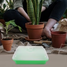 Vassoio Germinazione