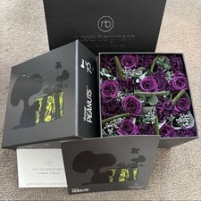 Nicolai Bergmann x scatola