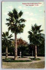 Palena Hot Wells Hotel Park