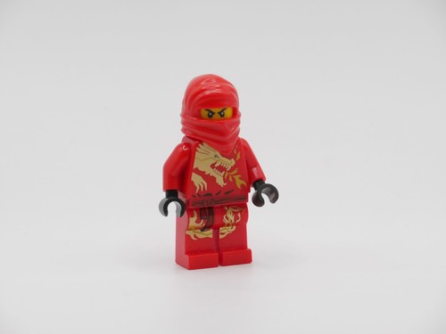 Lego ninjago minifigure - ninjago:,