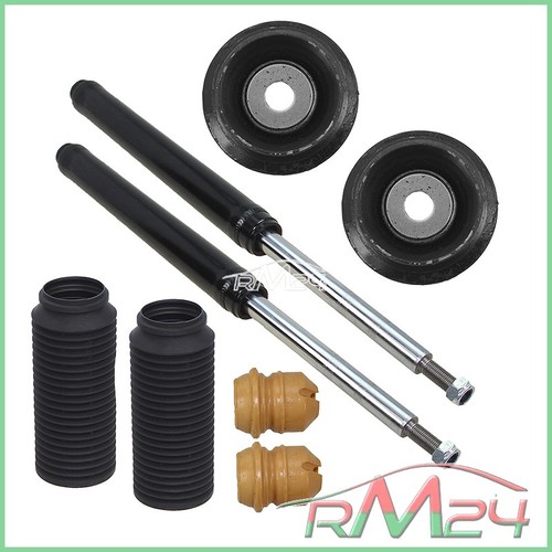 Ammortizzatore gas - 2x,
