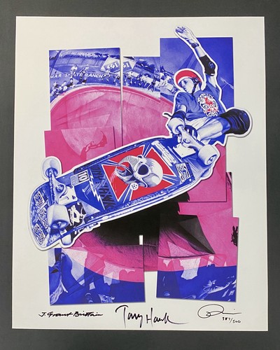 Tony hawk skateboard grant - j.,