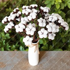 Mazzo fiori cotone - in,