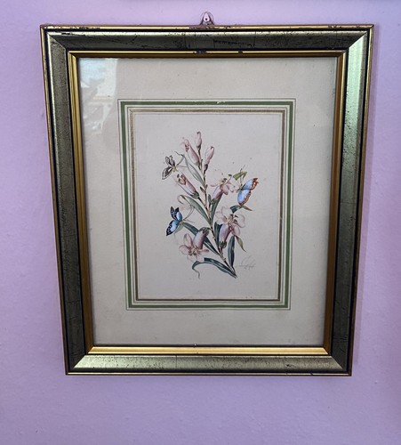 Vecchie stampe fiori con - di,