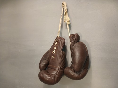 Guantoni boxe palestra - guantoni,