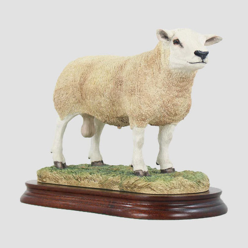 Texel ram style two - two, border