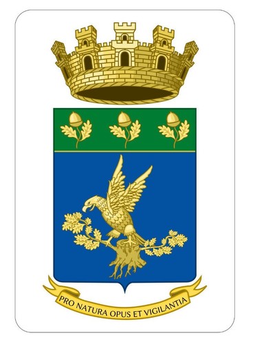 Corpo forestale dello - corpo,
