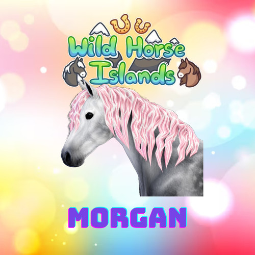Wild horse islands morgan - wild,