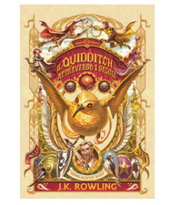 Harry Potter Quidditch Through