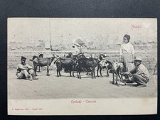 Cartolina d'epoca - Napoli - Costumi - Capraio