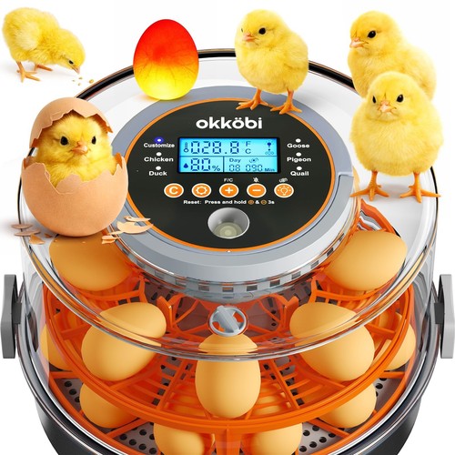 Egg incubator with automatic - egg,