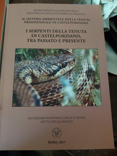 Serpenti della tenuta di - serpenti,