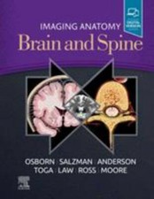 Imaging anatomy brain and - brain,