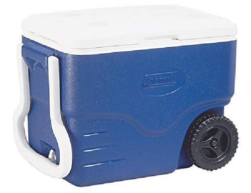 Coleman performance - qt,
