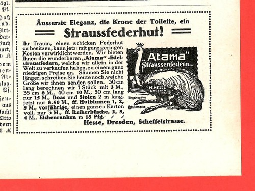 Storico pubblicità piume - storico., pubblicità: