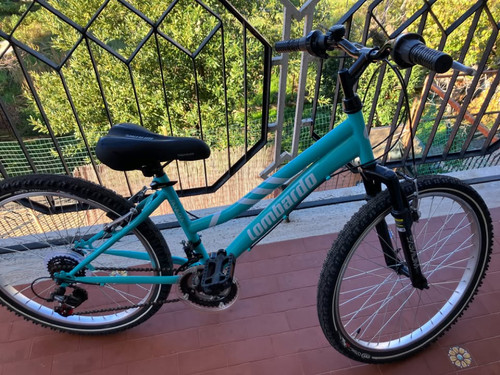 Bicicletta colore menta - bicicletta, in