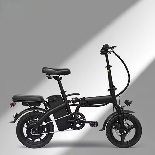 Bicicletta elettrica 48v - bicicletta,