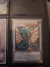 Antico Drago Fatato  Quarter