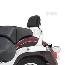Detachable Sissy Bar Passenger